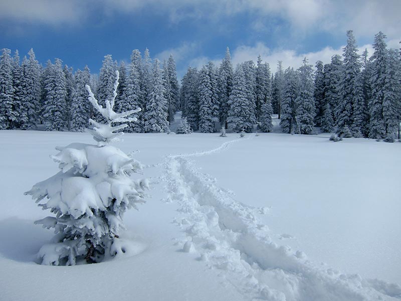 Kuhschneeberg